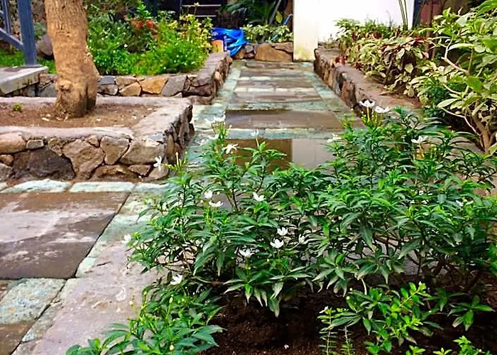 Amed Romance House